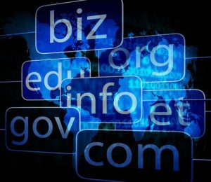 .com .biz .net