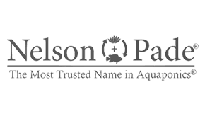 nelson-and-pade